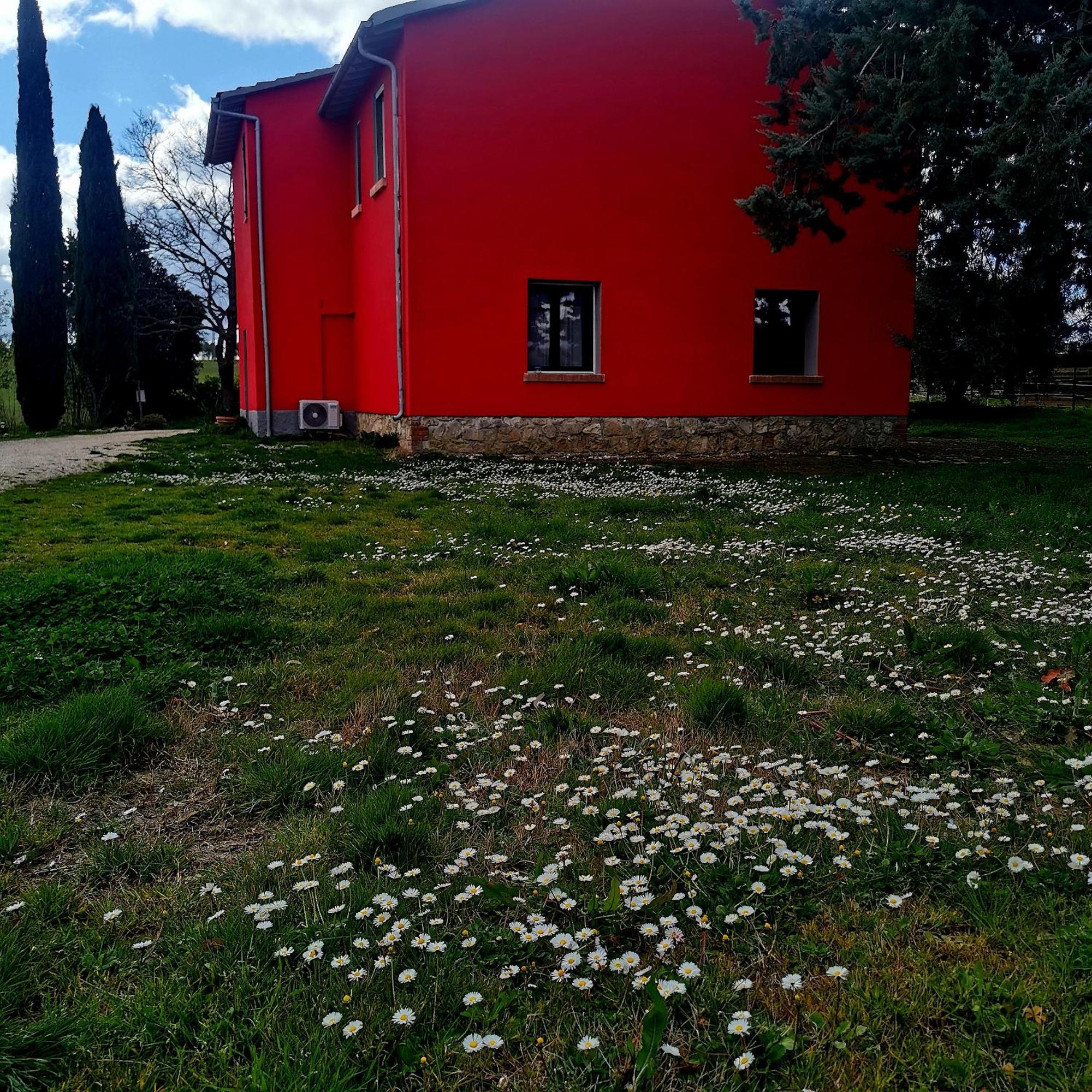 Poggio La Luna - La Casa Nel Vigneto Монтемерано Экстерьер фото
